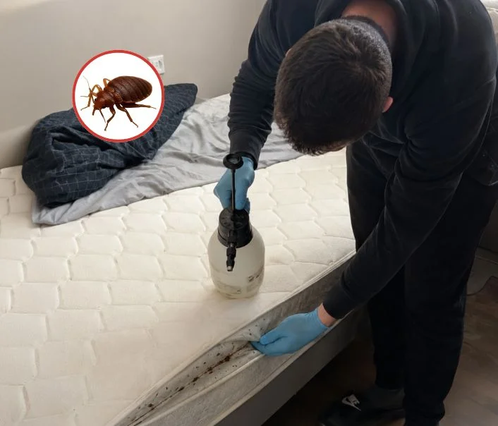 Technicien traitant un matelas contre les punaises de lit à Saint-Ouen-l'Aumône